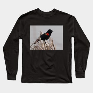 A Red-winged Blackbird Singing in the Rushes Long Sleeve T-Shirt